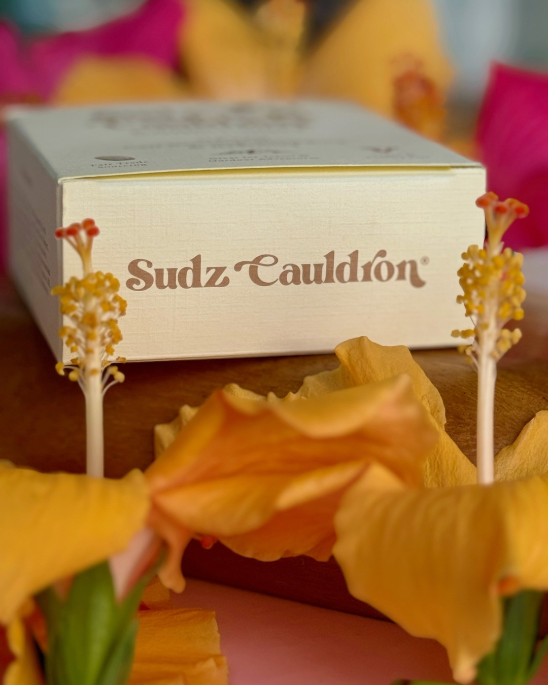 Haven Curl Defining Conditioner Bar